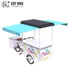 EQT Ice Cream Bike Tricycle Cargo For Street Business فروش دوچرخه برقی دوچرخه برقی برای نوشیدنی های خنک