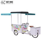 دوچرخه حمل و نقل سه چرخه بستنی یخچال EQT 138L برای فروش با کیفیت بالا جلو بارگیری پدال کمک فریزر